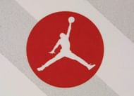 Air Jordan XVI